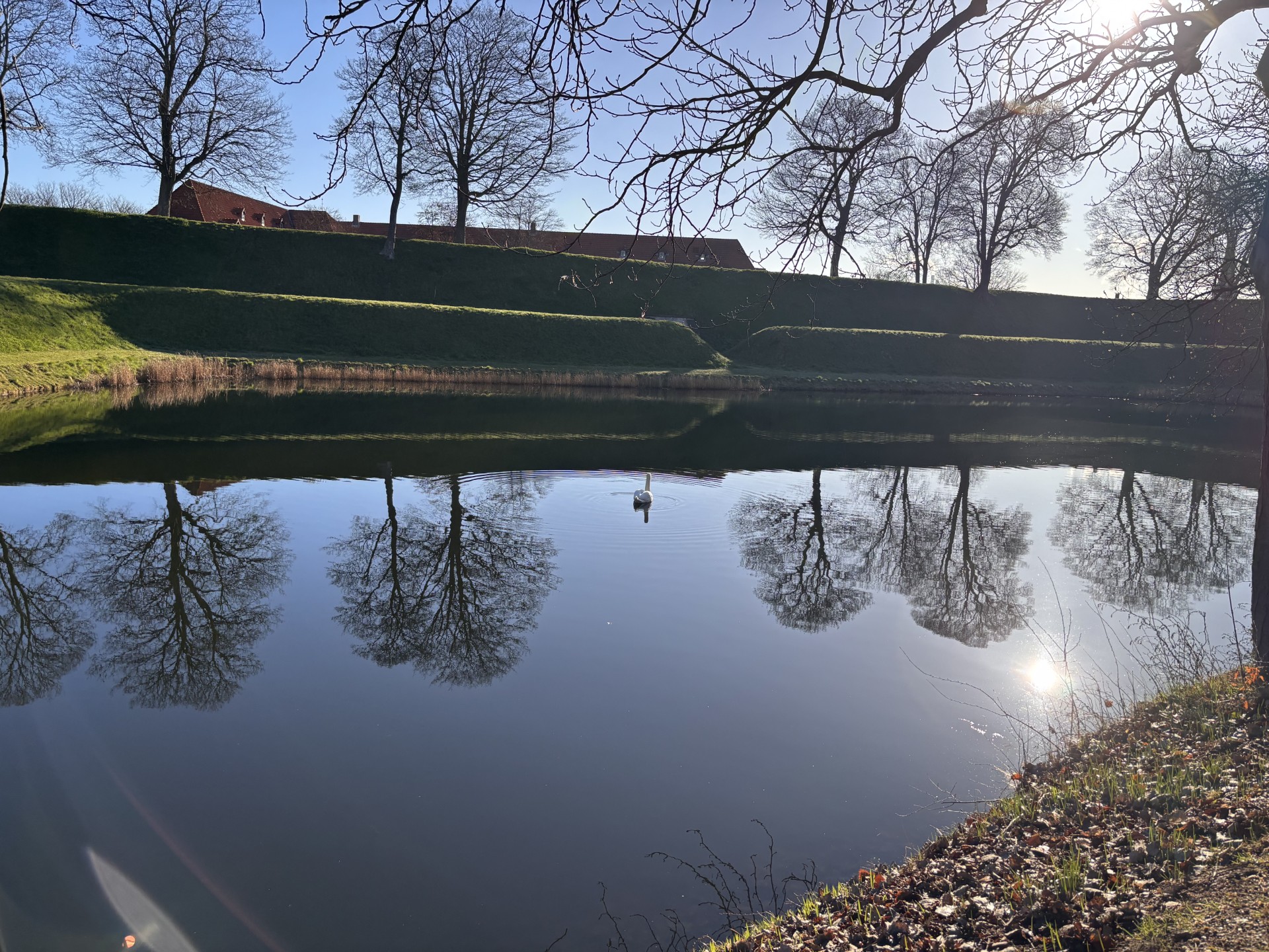 Kastellets voldanlæg spejlet i voldgraven med bare træer omkring.