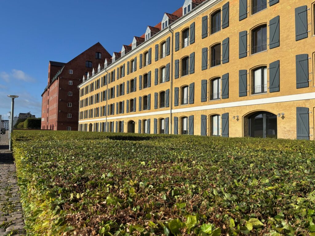 Gule rækkehuse i Toldbodgade tæt på Københavns havn.